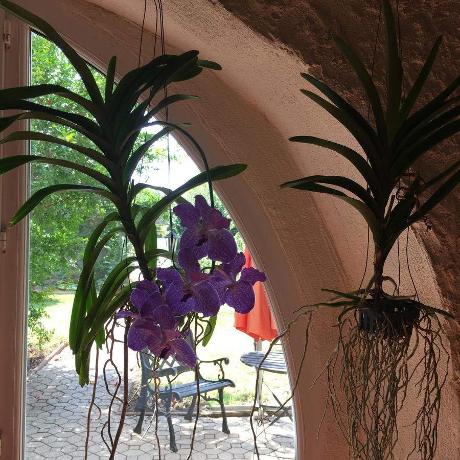 La Mandarine Bed & Breakfast Piolenc Екстериор снимка
